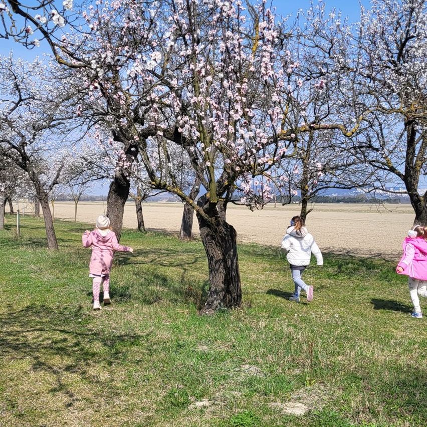 Drei Kinder in rosa Jacken rennen unter blühenden Bäumen in einem Grasfeld unter einem klaren Himmel.