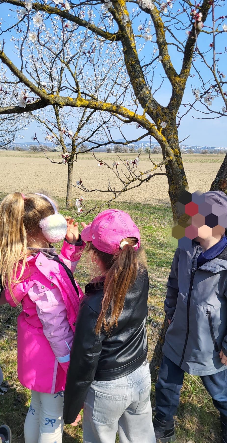 Drei Kinder in Jacken stehen unter einem Baum auf einem Feld. Zwei Mädchen tragen rosa Jacken und Mützen, und ein Junge trägt eine graue Jacke.
