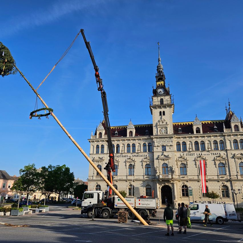 Ein Tannenbaum wird von einem Kran vor einem Rathaus mit Uhrturm, Arbeitern und einer roten Fahne angehoben.