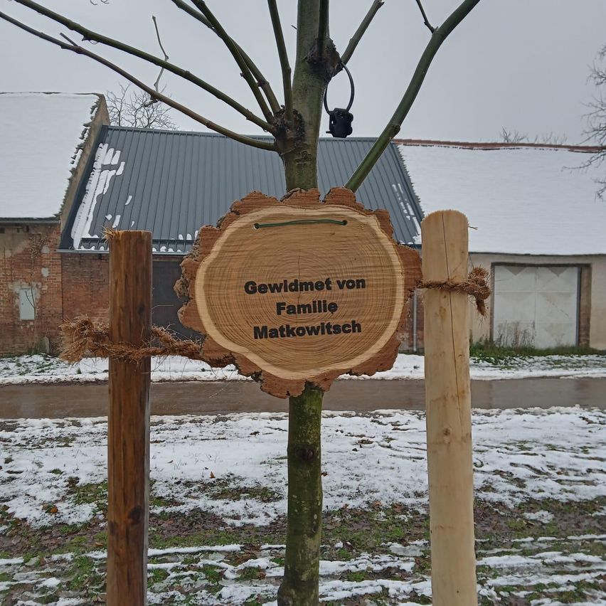 Ein Baum mit einem Holzschild, auf dem 'Gewidmet von Familie Matkowitzsch' steht, befindet sich in einer verschneiten Landschaft mit Gebäuden im Hintergrund.