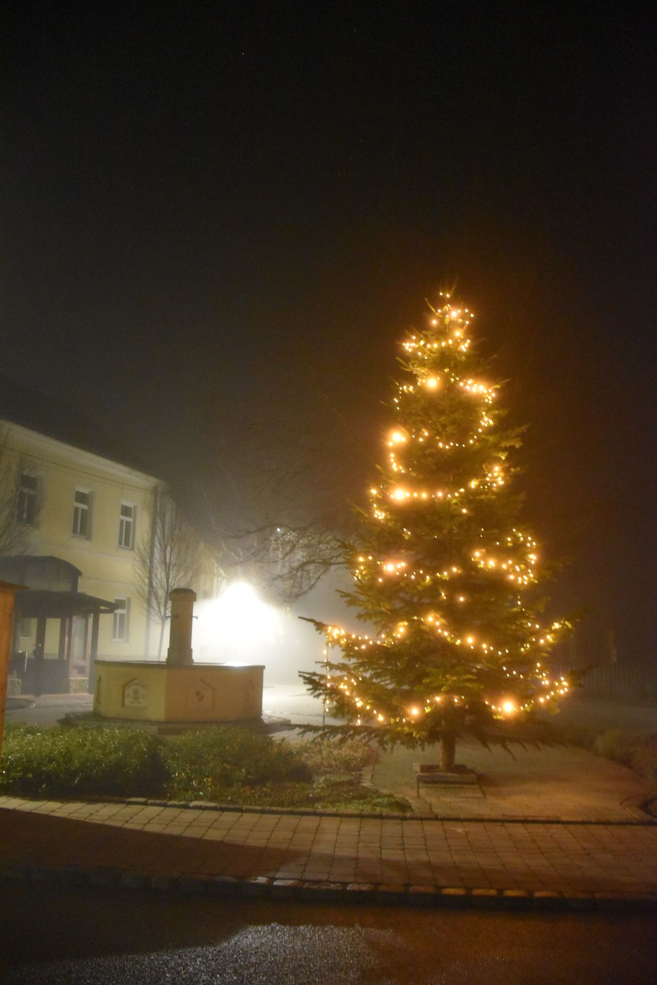 Ein beleuchteter Weihnachtsbaum mit Lichtern steht vor einem Gebäude in der Nacht.