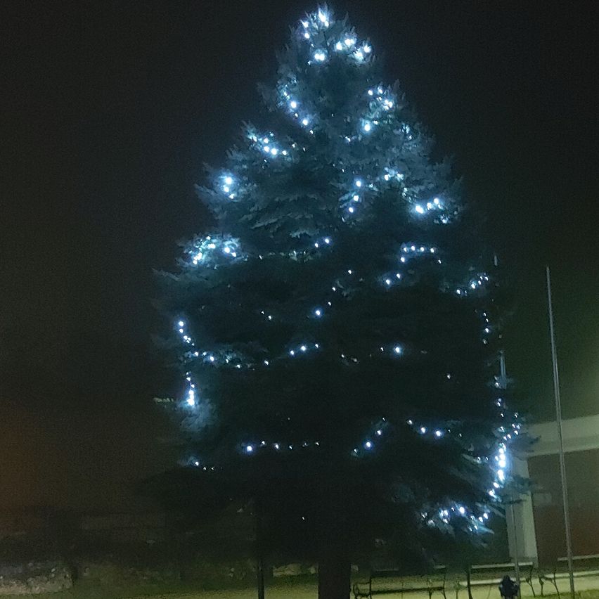 Ein hoher Weihnachtsbaum mit blauen Lichtern steht in einem dunklen Außenbereich, wahrscheinlich in einem Park. Der Baum ist von einem dunklen Bereich umgeben, in dem ein Gebäude und Bänke zu sehen sind.