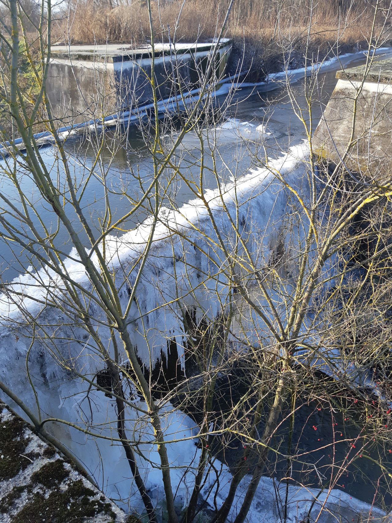Ein gefrorener Wasserfall auf einer Brücke mit einer Betonstruktur an der Seite. Schnee und Eis bedecken die Äste der Bäume.