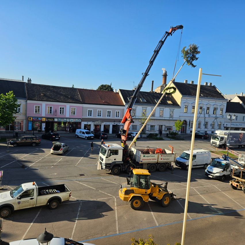 Ein Kran hebt einen Baum in einem Parkplatz mit mehreren Fahrzeugen und Gebäuden. Der Himmel ist klar.