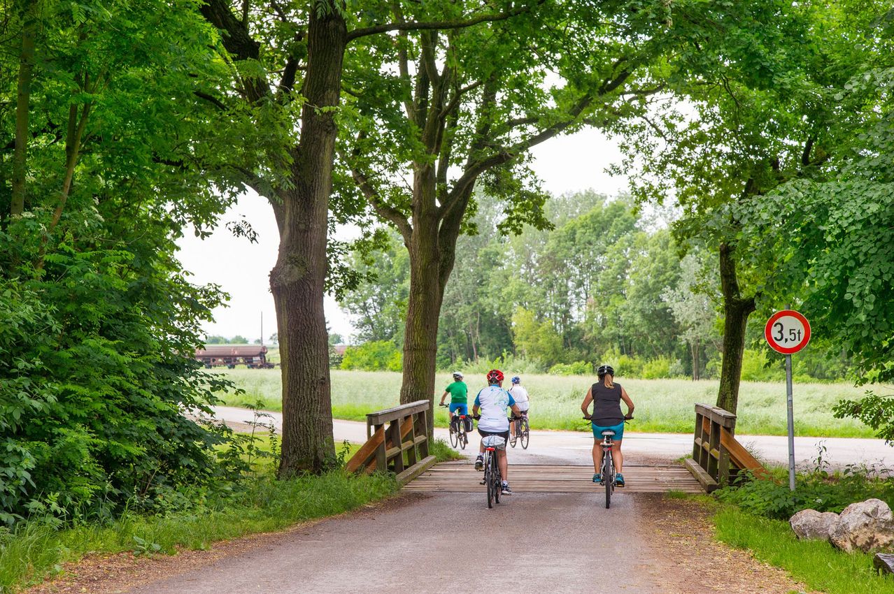 Four cyclists ride their bikes on a paved path through a wooded area, with a wooden bridge in the foreground.