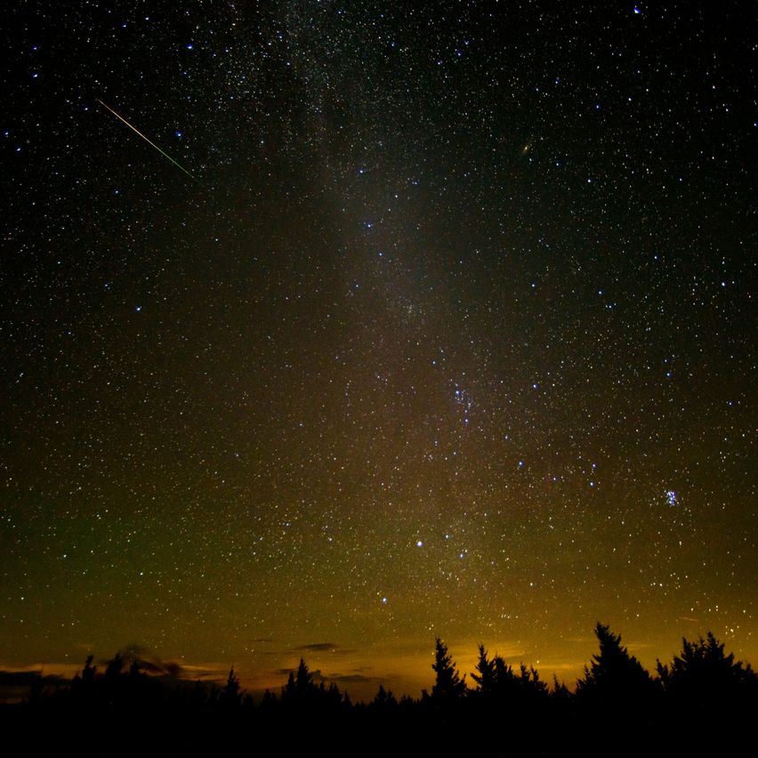 A night sky filled with stars, a streak of light from a meteor, and silhouettes of trees below.