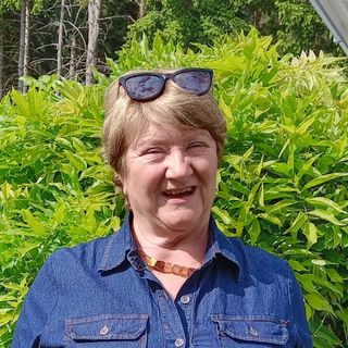 Bild von Karin Linder