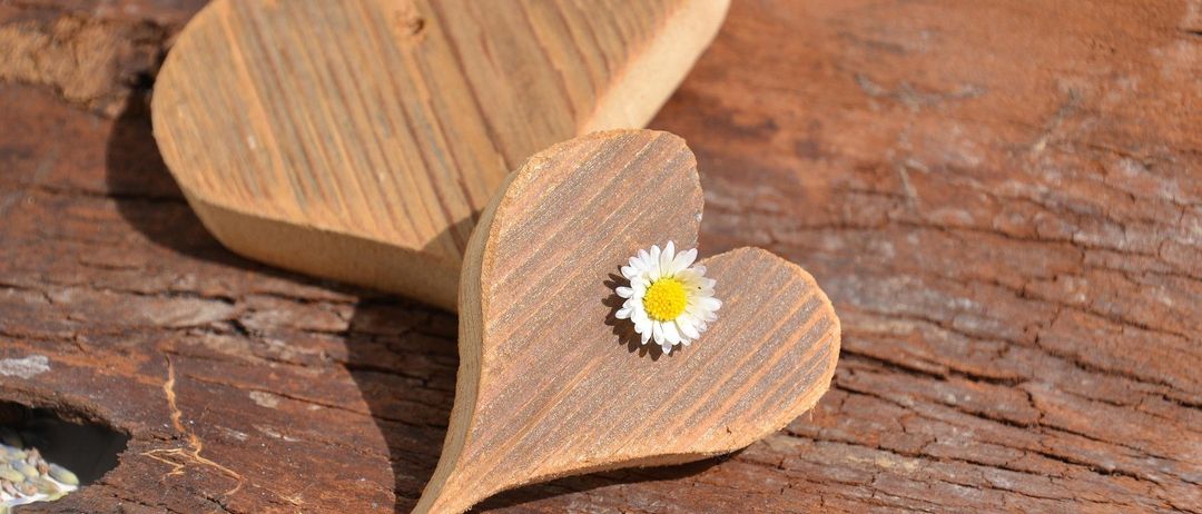 Zwei holzerne herzförmige Objekte mit einer Margerite auf dem kleineren, auf einer verwitterten Holzoberfläche platziert.