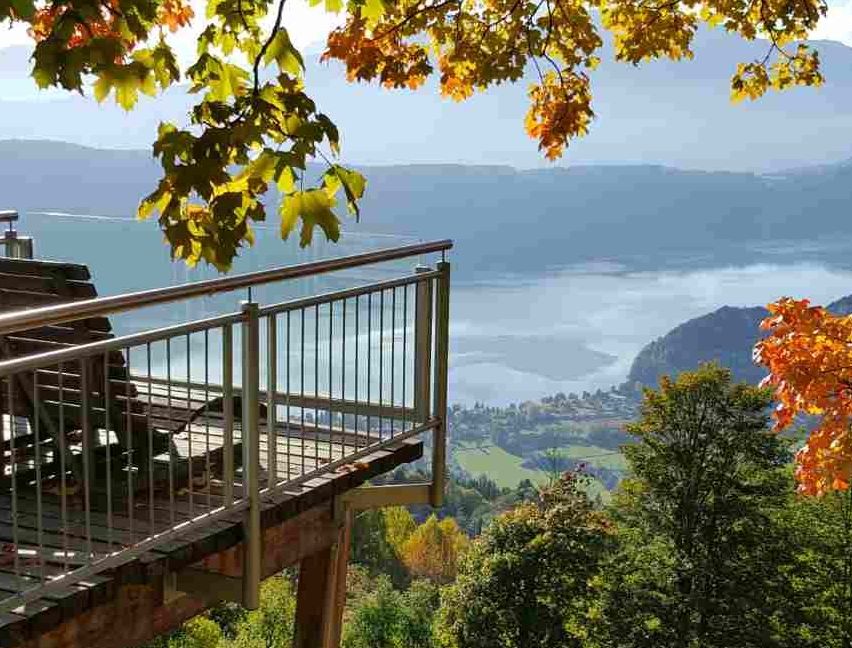 v1_migrated_image_82549188