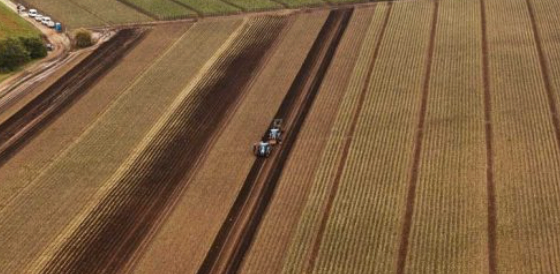 Eine Vogelperspektive auf ein großes landwirtschaftliches Feld, auf dem zwei Traktoren den Boden in parallelen Reihen pflügen. Das Feld ist von anderen Feldern und Bäumen umgeben.