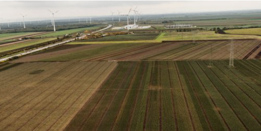 Aerial view of a vast green field with rows of crops and wind turbines in the distance, under a cloudy sky.