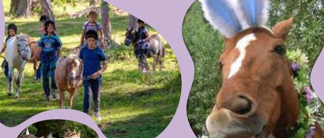 Advertisement, Poster, Person, Animal, Horse, Mammal