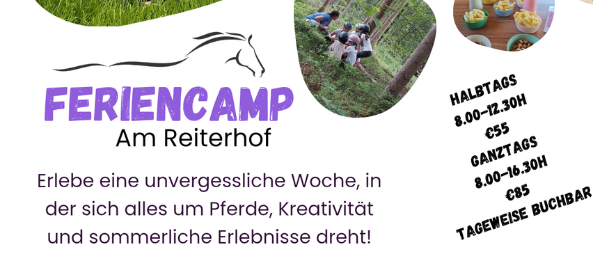 Bild enthält, Advertisement, Poster, Person, Child, Female, Girl, Helmet, Horse, Shorts, Outdoors