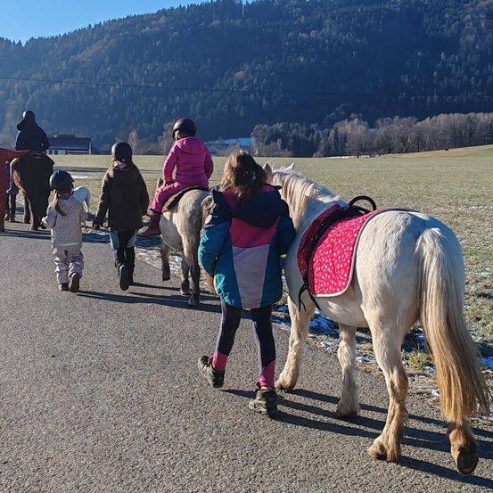 Bild enthält, Animal, Horse, Horseback Riding, Leisure Activities, Mammal, Person, Clothing, Footwear, Shoe, Walking