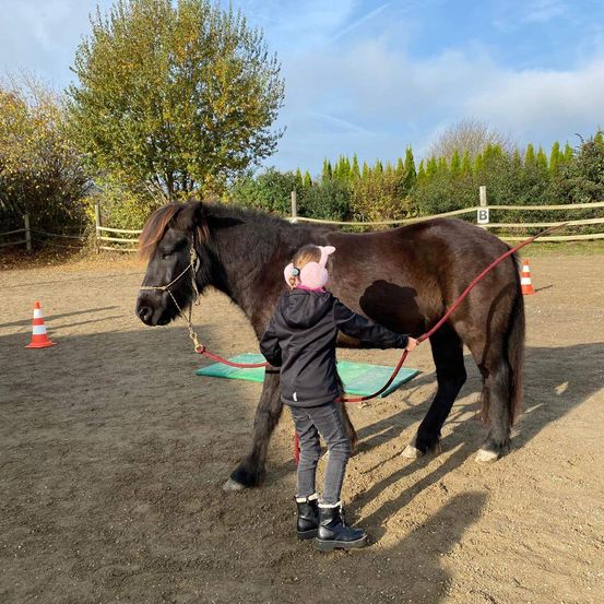 Bild enthält, Boy, Child, Male, Person, Animal, Horse, Mammal, Colt Horse, Jeans, Pants