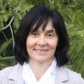 Bild von Karin Schantl