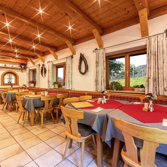 Ein Restaurantinnenraum mit Holztischen, Stühlen und einer hohen Decke. Vorhänge, Pflanzen und dekorative Gegenstände hängen an den Wänden. Sonnenlicht fällt durch die Fenster, und Berge sind draußen sichtbar.