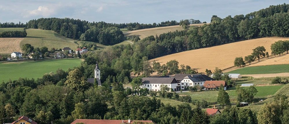 Luftaufnahme einer ländlichen Landschaft mit einer weißen Kirche, einem großen weißen Gebäude und mehreren Häusern, umgeben von Bäumen und Feldern.
