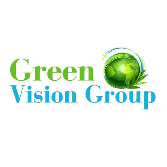 Das Logo der Green Vision Group zeigt einen Globus, der von Blättern umgeben ist, auf weißem Hintergrund. Der Name 'Green Vision Group' ist in Blau und Grün geschrieben.