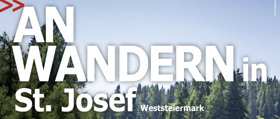 Eine Wanderung entlang des Olschten Teich zum Labe-des USV, weiter zum Restaurant Oisnitz und zurück zum Theatercafé. Es ist eine leichte Familienstrecke.