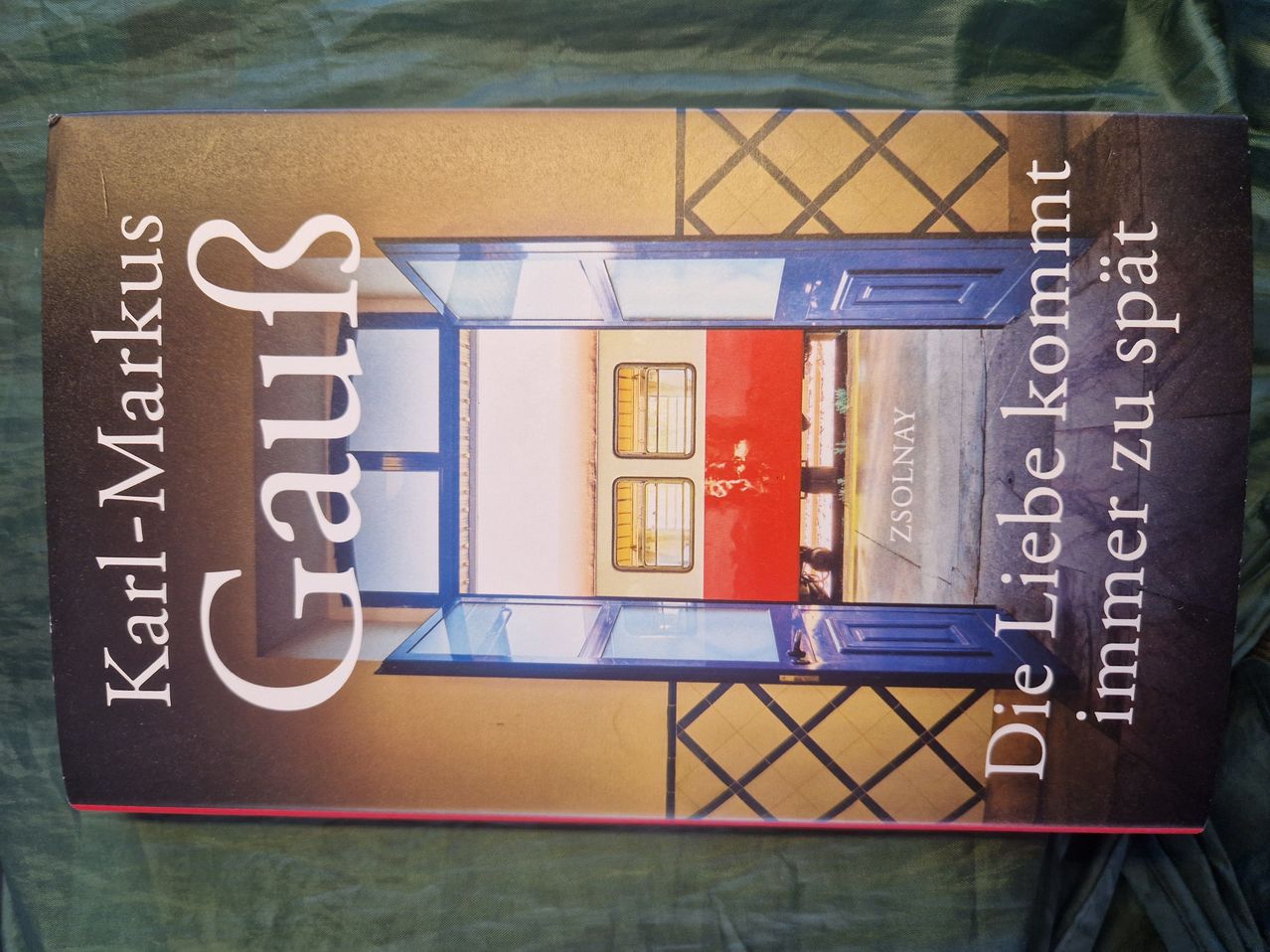 Ein Buchcover mit 'Gauls' in großen weißen Buchstaben, das einen Blick durch eine offene blaue Tür mit einer roten Wand und einem Zug dahinter zeigt.