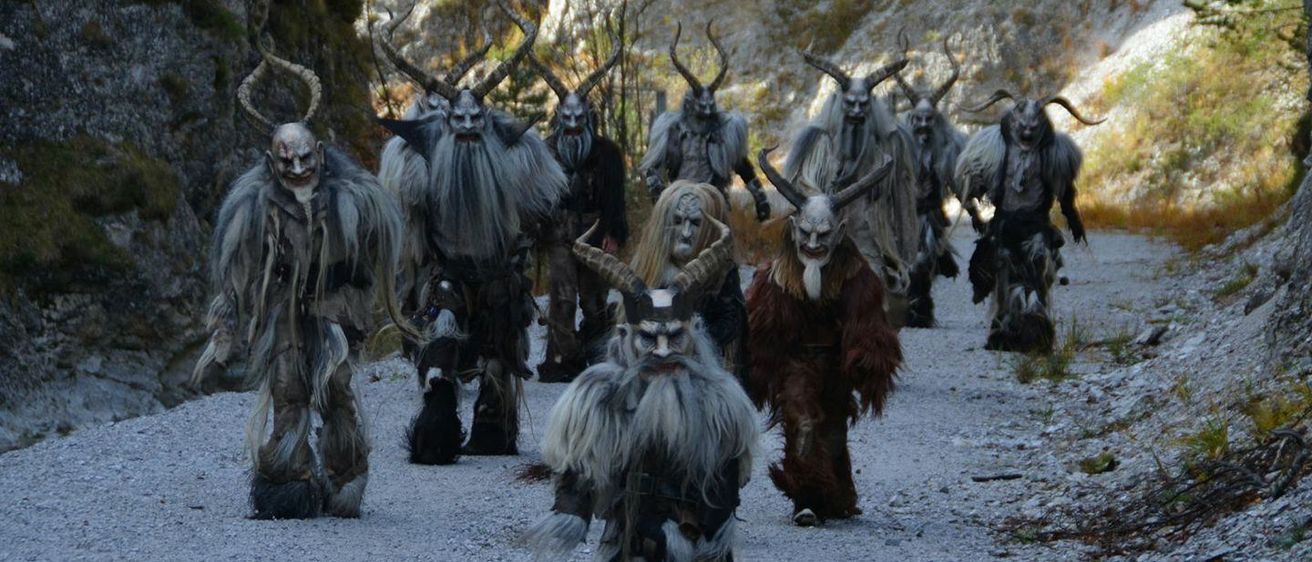 Adult, Male, Man, Person, Animal, Penguin, Livestock, Herd, Cattle, Yak