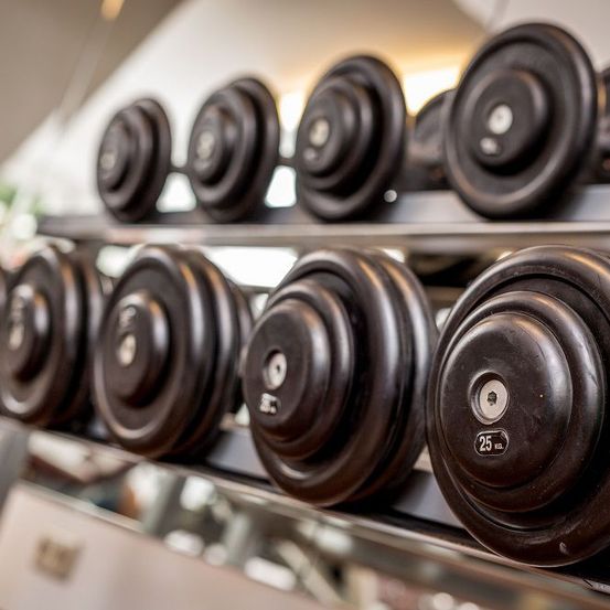 Bild enthält, Machine, Wheel, Fitness, Gym, Gym Weights, Sport, Working Out, Bicep Curls, Car, Vehicle