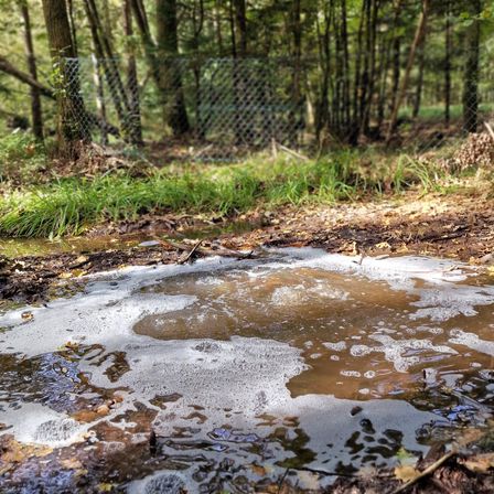 Bild enthält, Land, Nature, Outdoors, Vegetation, Grove, Tree, Woodland, Water, Soil, Creek