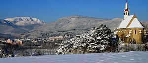 Ein felsiger Abhang mit einem dichten Wald an der Basis und einer hohen Kiefer auf der rechten Seite mit Blick auf einen Berg.