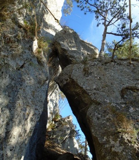 Eine Felsformation mit einem natürlichen Bogeneingang, umgeben von Grün und blauem Himmel, die natürliche Erosion und raues Gelände zeigt.