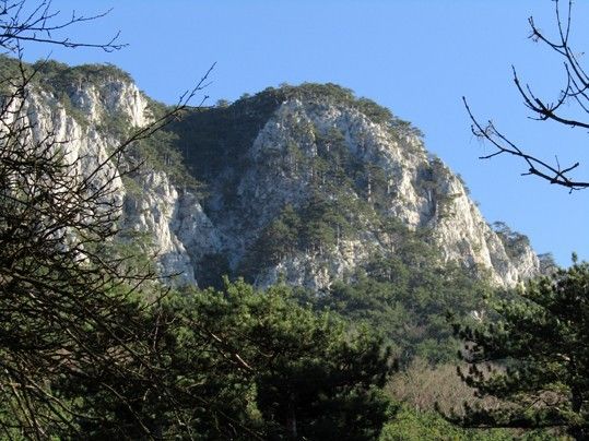 Ein felsiger Berg unter einem klaren blauen Himmel. Er hat einen steilen Hang, an dem Bäume wachsen.