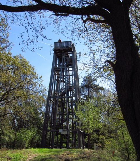 Ein hoher hölzerner Turm mit einer Wendeltreppe ist an einem sonnigen Tag von Bäumen und Gras umgeben.