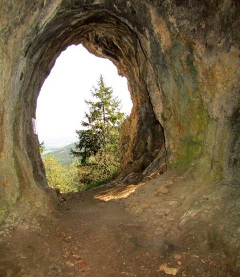 Blick von innen aus einer Höhle mit einem Wald und einem Berg in der Ferne an einem sonnigen Tag.