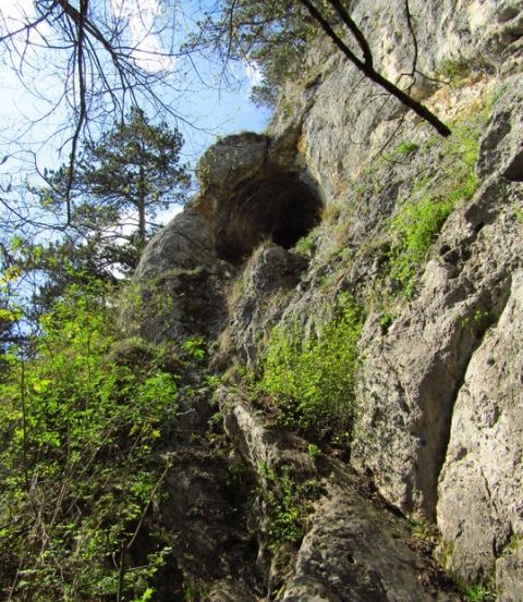 Eine raue Klippe mit einem Höhleneingang oben, umgeben von Grün und einem einsamen Baum darüber.