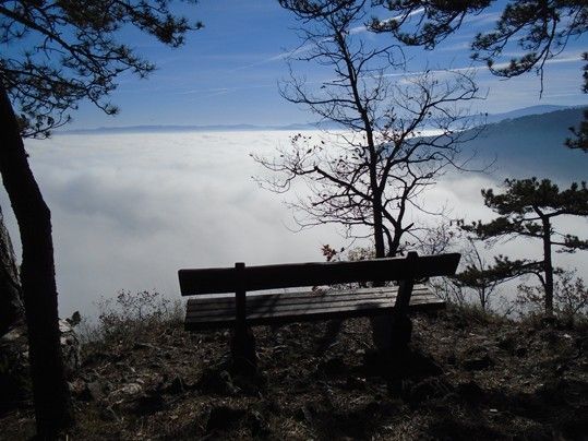 Eine Holzbank befindet sich auf einem Hügel, umgeben von Bäumen und Felsen, mit einem atemberaubenden Blick auf ein nebliges Tal und entfernte Berge.