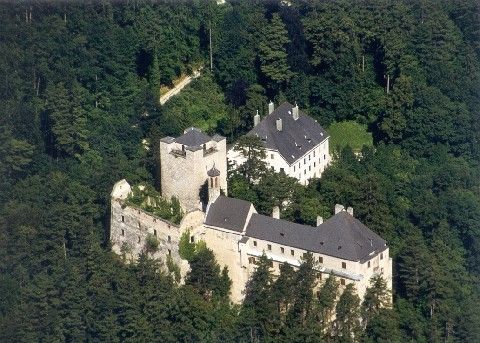 Luftaufnahme einer mittelalterlichen Burg inmitten eines dichten, üppigen Waldes mit mehreren Türmen und Gebäuden.