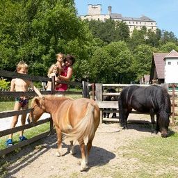 Zwei Kinder und eine Frau stehen in der Nähe eines Zauns, ein Kind streichelt ein braunes Pony, während das andere ein Kind hält. Ein schwarzes Pony frisst Gras. Hinter ihnen steht ein Gebäude mit einem braunen Dach. Bäume und eine Burg sind im Hintergrund.
