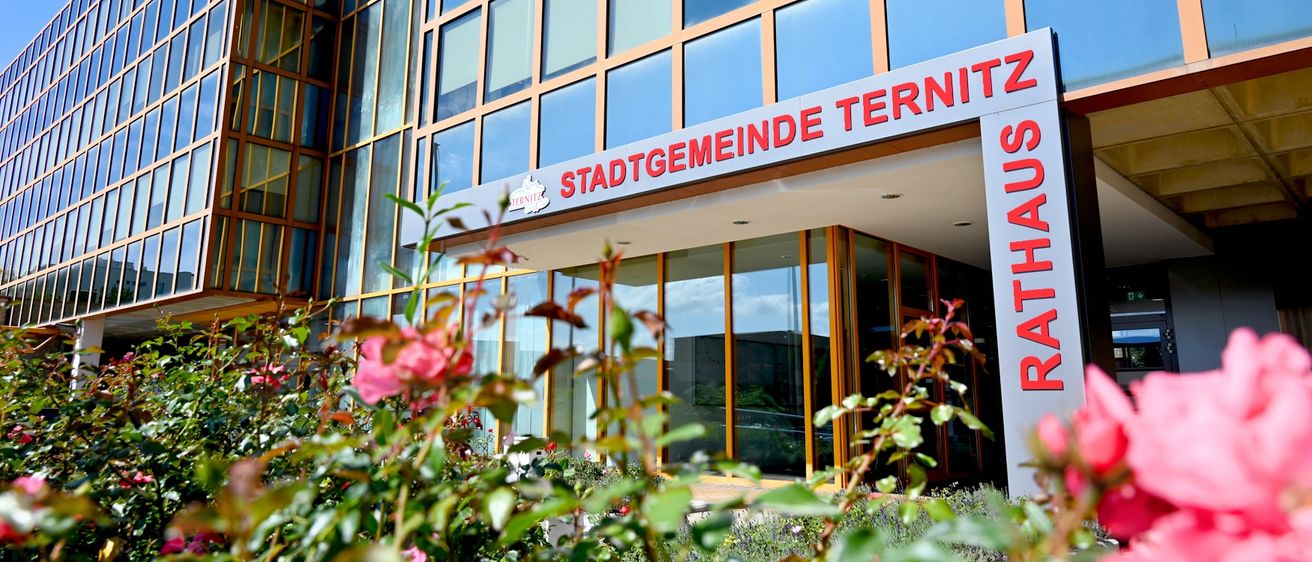 Die Vorderseite eines modernen Gebäudes mit Glasfenstern, einem Schild mit der Aufschrift 'Stadtgemeinde Terni' und einer kleinen Pflanze mit rosa Blüten im Vordergrund.