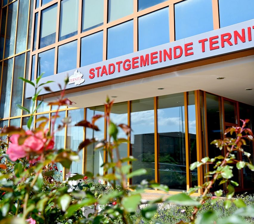 Die Vorderseite eines modernen Gebäudes mit Glasfenstern, einem Schild mit der Aufschrift 'Stadtgemeinde Terni' und einer kleinen Pflanze mit rosa Blüten im Vordergrund.