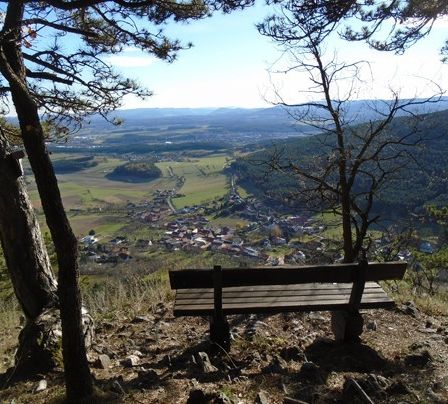 Bild enthält, Bench, Furniture, Nature, Outdoors, Scenery, Wilderness, Vegetation, Tree, Woodland, Landscape