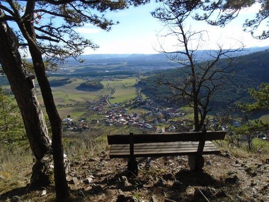 Bild enthält, Bench, Furniture, Nature, Outdoors, Scenery, Wilderness, Vegetation, Tree, Woodland, Landscape