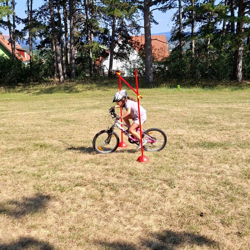 A young girl is riding a pink bicycle through a course with red poles in a grassy field.