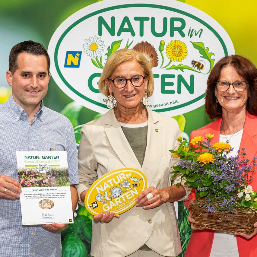 Three individuals are standing before a green backdrop, smiling and posing for a photo. The man on the left holds a booklet, the woman in the middle holds a yellow sign, and the woman on the right holds a basket of flowers.