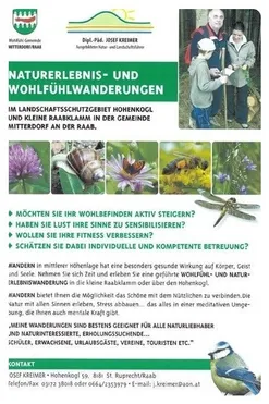 Advertisement, Poster, Bird, Adult, Female, Person, Woman, Honey Bee, Insect, Face