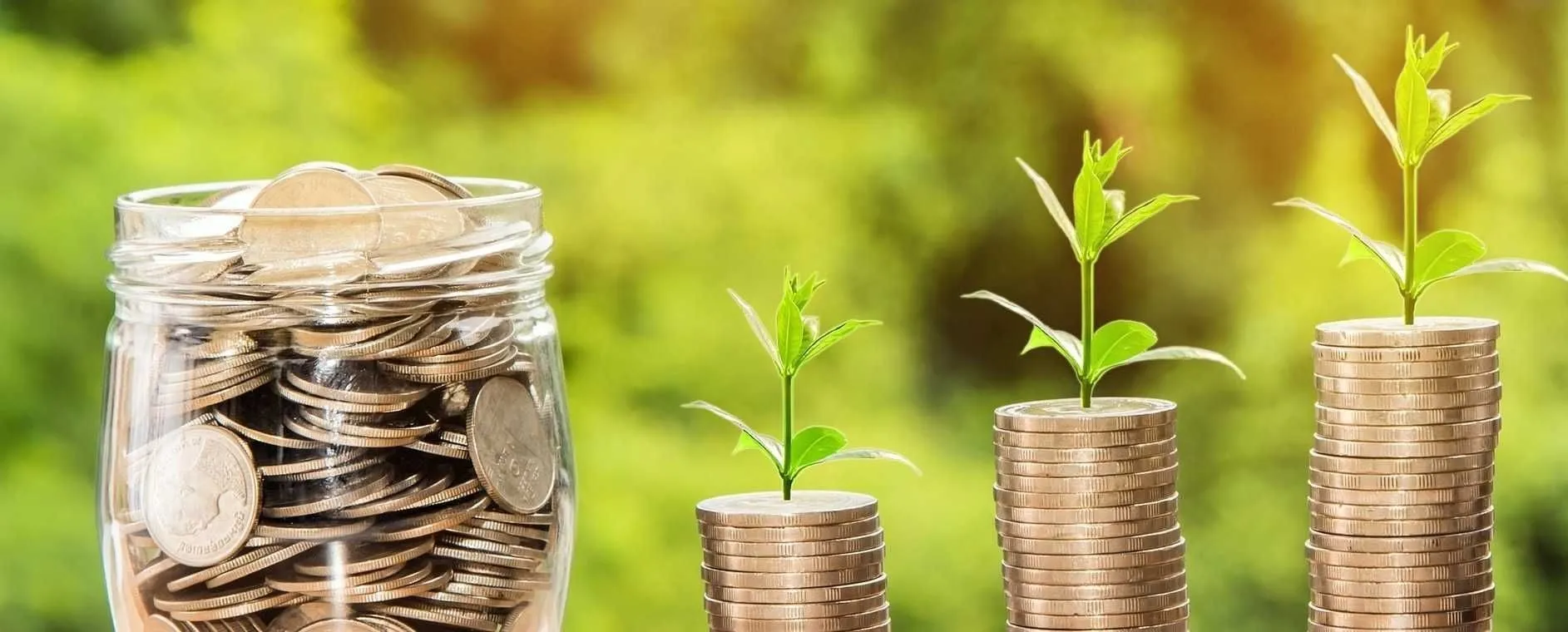 Plant, Coin, Money