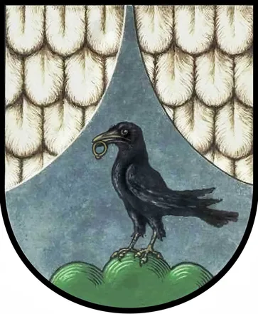 Animal, Bird, Blackbird, Crow