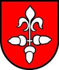 Symbol, Person