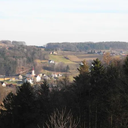 Tree, Fir, Outdoors, Vegetation, Nature, Land, Woodland, Slope, Scenery, Countryside