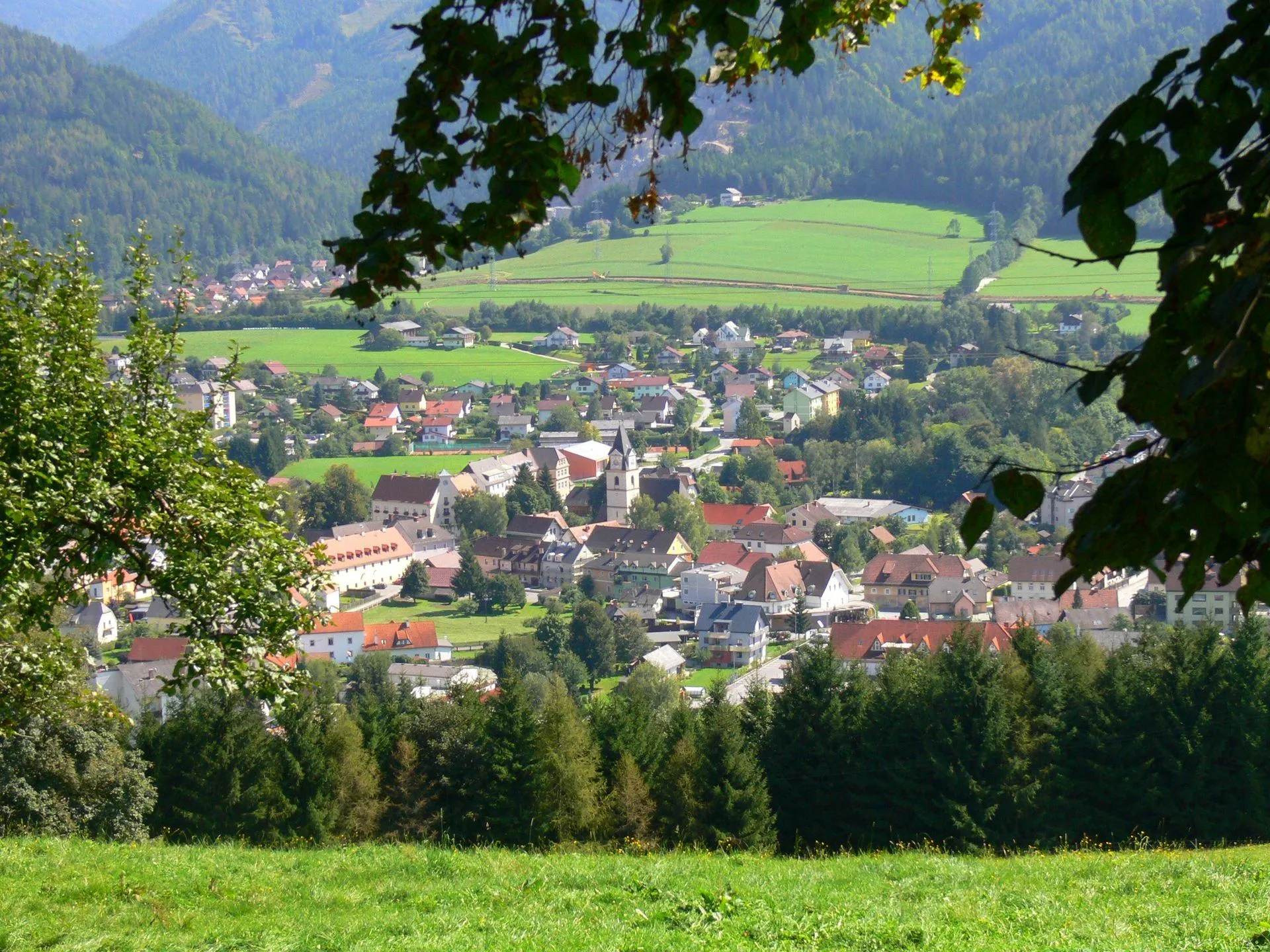 website banner