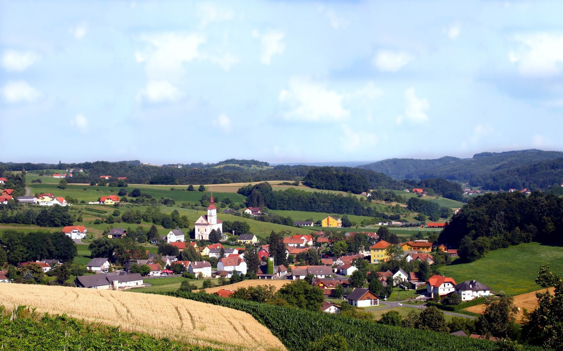 website banner